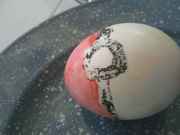 eggs2.jpg
