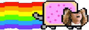 megnyan.gif