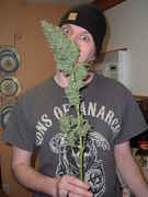 DSCF0562.jpg