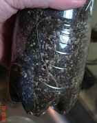 ak47-04-roots.jpg
