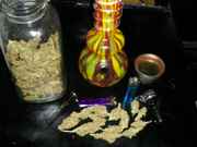 mybud_001.jpg