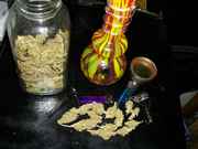 mybud_005.jpg