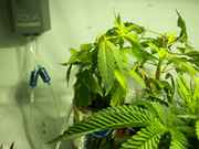 newbabies_006.jpg