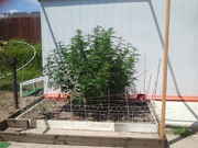 2011-08-22_13.56.51.jpg