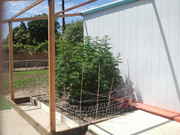 2011-08-22_13.57.25.jpg