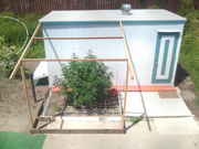2011-08-22_13.58.34.jpg