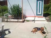 2011-08-22_14.26.46.jpg
