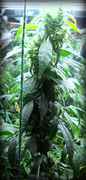 Update_Day_56_0011.jpg