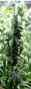 Update_Day_56_0071.jpg