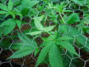 Picture_Update_005.jpg