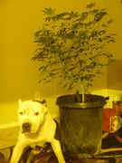ann_camera_178.jpg
