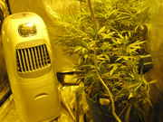 Copy_2_of_june2012_ebay_021.jpg