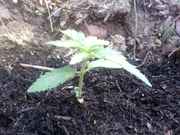 121017_0001.jpg