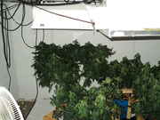 DSC01005.jpg