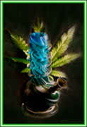 Bong1.jpg