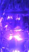 2012-12-12-224635.jpg