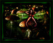 Fairyshroom1.jpg
