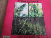 High_Times_March_1984_002.jpg
