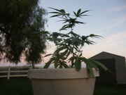 May_3_2013_5.jpg