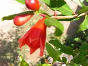 PICT0030_2.jpg