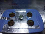 20131224_001034.jpg