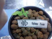 20131224_003255.jpg