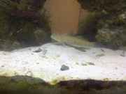 San_Antonio-20140211-00380.jpg