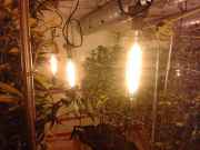 20140531_220034.jpg