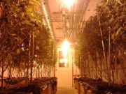 20140531_221429.jpg