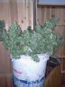 066.jpg