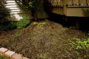 DSC01797.jpg
