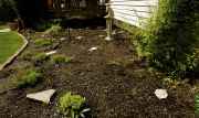 DSC01787.jpg