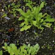 DSC02044.jpg