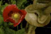 DSC02458.jpg