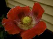 DSC02346.jpg