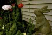 DSC02557.jpg