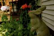 DSC02559.jpg