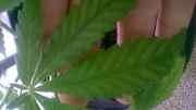 WP_20150510_17_19_45_Pro.jpg