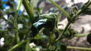 DSC01760.jpg