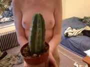 866988783-Topless_girl_with_San_Pedro.jpg