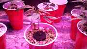 20161023_145507.jpg