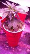20161030_125431.jpg