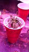 20161030_125448.jpg