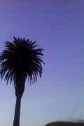 IMG_20170718_055010.jpg
