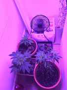 IMG_0021.jpg