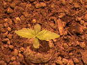 DSC00072.jpg
