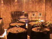 DSC00099.jpg