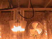 DSC00100.jpg